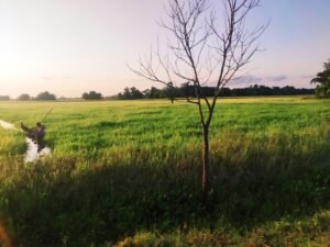 India Beyond the Usual: Now Discovering Hidden Gems That Tell Untold Stories