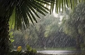 The Monsoon That Sparked a Village Parade!
