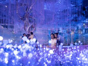 8 Essential and Bold Family Day Out Ideas You Will Love!