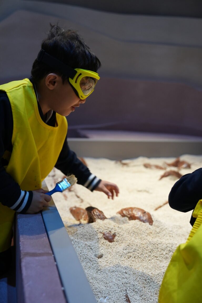 Natural History Museum Abu Dhabi during a science workshop.
