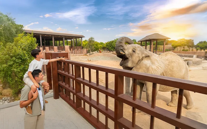 Close up wildlife encounter during a visit to Dubai Safari Park.