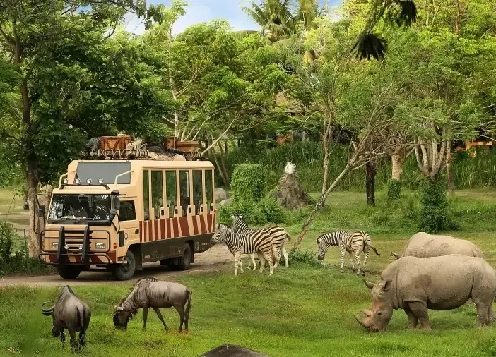 Close up wildlife encounter during a visit to Dubai Safari Park.
