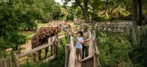Children exploring desert wildlife education at the Al Ain Zoo summer camp Abu Dhabi.